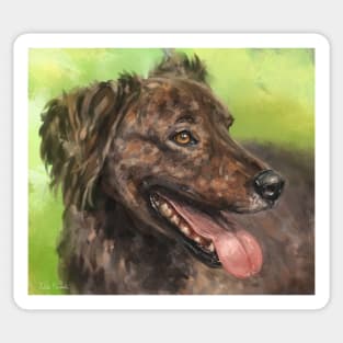 Painting of a Brown Brindle Long Hair Dutch Shepherd with its Tongue Out Sticker